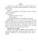 Referāts 'Ainavu dizains', 2.