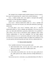 Referāts 'Ainavu dizains', 5.