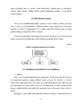 Referāts 'Ainavu dizains', 15.