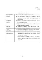 Referāts 'Ainavu dizains', 31.