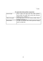 Referāts 'Ainavu dizains', 33.