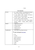 Referāts 'Ainavu dizains', 34.