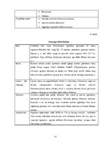 Referāts 'Ainavu dizains', 35.