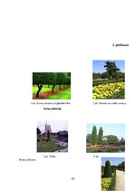 Referāts 'Ainavu dizains', 36.