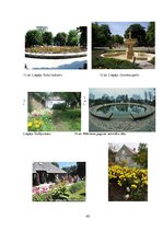 Referāts 'Ainavu dizains', 38.