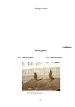 Referāts 'Ainavu dizains', 40.