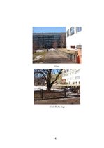 Referāts 'Ainavu dizains', 41.