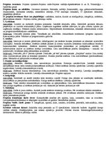 Konspekts 'Konspekts par Personāla vadības informācijas sistēmu ieviešanu', 6.