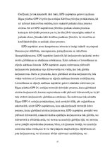 Referāts 'Policijas iecirkņa inspektora pilnvaras, atbildība un darba vērtēšanas kritēriji', 17.