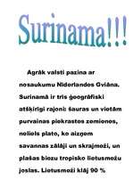 Referāts 'Surinama', 9.