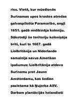 Referāts 'Surinama', 11.