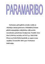 Referāts 'Surinama', 14.