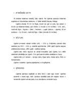 Konspekts 'Līgatne', 2.