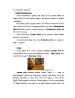 Konspekts 'Līgatne', 3.