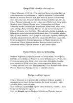 Referāts 'Zilupes līdzenums', 3.