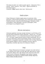 Referāts 'Zilupes līdzenums', 4.