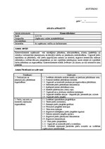 Paraugs 'Komercdirektora amata apraksts', 1.