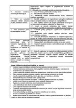 Paraugs 'Komercdirektora amata apraksts', 3.