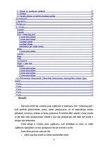 Biznesa plāns 'Biznesa plāns SIA "Consulting plus"', 3.