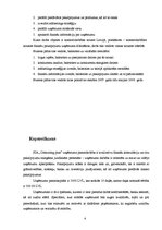 Biznesa plāns 'Biznesa plāns SIA "Consulting plus"', 4.