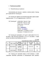 Biznesa plāns 'Biznesa plāns SIA "Consulting plus"', 7.