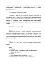 Biznesa plāns 'Biznesa plāns SIA "Consulting plus"', 8.