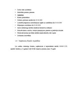 Biznesa plāns 'Biznesa plāns SIA "Consulting plus"', 9.