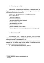 Biznesa plāns 'Biznesa plāns SIA "Consulting plus"', 18.