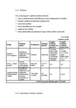 Biznesa plāns 'Biznesa plāns SIA "Consulting plus"', 24.