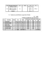 Biznesa plāns 'Biznesa plāns SIA "Consulting plus"', 28.