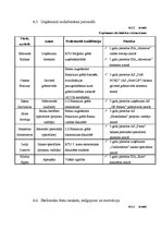 Biznesa plāns 'Biznesa plāns SIA "Consulting plus"', 30.