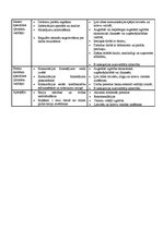 Biznesa plāns 'Biznesa plāns SIA "Consulting plus"', 32.