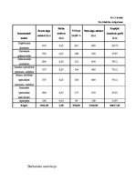 Biznesa plāns 'Biznesa plāns SIA "Consulting plus"', 33.