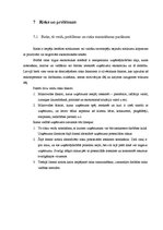 Biznesa plāns 'Biznesa plāns SIA "Consulting plus"', 35.