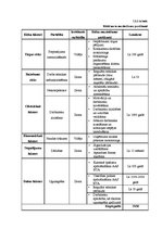 Biznesa plāns 'Biznesa plāns SIA "Consulting plus"', 36.