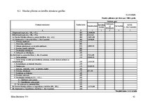 Biznesa plāns 'Biznesa plāns SIA "Consulting plus"', 45.