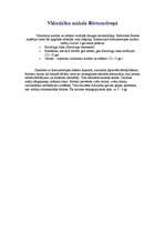 Referāts 'Viduslaiku māksla Rietumeiropā', 2.