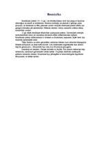 Referāts 'Viduslaiku māksla Rietumeiropā', 4.