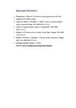 Referāts 'Viduslaiku māksla Rietumeiropā', 6.