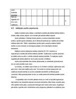 Referāts 'Kvalitātes vadība SIA "Drop"', 30.