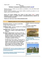 Konspekts 'Kultūras mantojuma saglabāšanas piemēri pasaulē', 1.