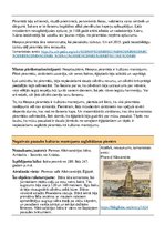 Konspekts 'Kultūras mantojuma saglabāšanas piemēri pasaulē', 4.