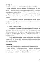 Prakses atskaite 'Problēmu analīzes aspekti zemes robežu ierādīšanā un pieļauto kļūdu tiesiskais r', 23.