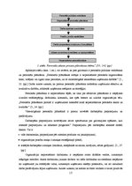 Referāts 'Personāla atlases procesa izvērtējums Valsts sociālās apdrošināšanas aģentūrā', 15.