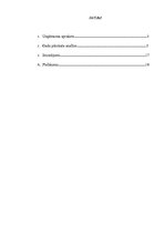 Referāts 'VSIA "Latvijas Koncerti" gada pārskata analīze', 2.