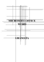 Prezentācija 'Grāmata par MS Word lietojumprogrammas funkciju skaidrojumiem', 1.