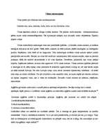 Referāts 'Vilna', 4.