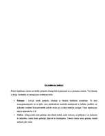 Referāts 'Vilna', 13.