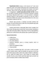 Referāts 'Muguras sāpes. Ķirurģiskā ārstēšana un aprūpe', 12.