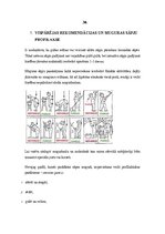 Referāts 'Muguras sāpes. Ķirurģiskā ārstēšana un aprūpe', 25.